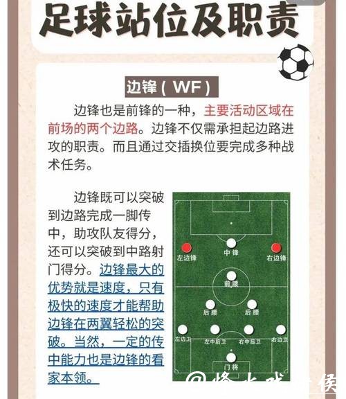 深入解读世界杯战术分析